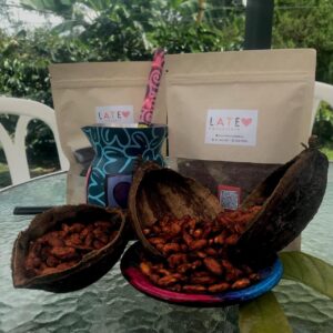 Chocolate 100% Cacao en Polvo