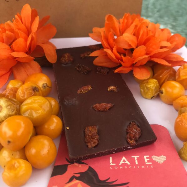 Barra Energizante de Cacao 60% con Uchuva Liofilizada - Imagen 2