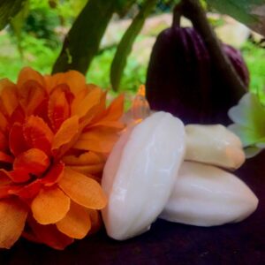 Jabón Artesanal de Cacao